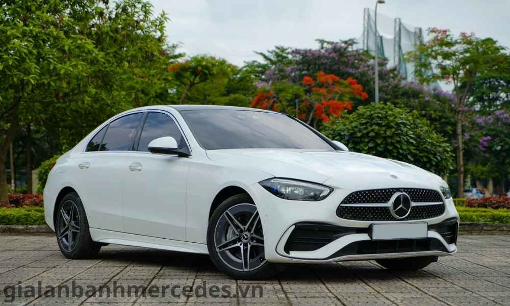 gia-lan-banh-c300-vung-tau