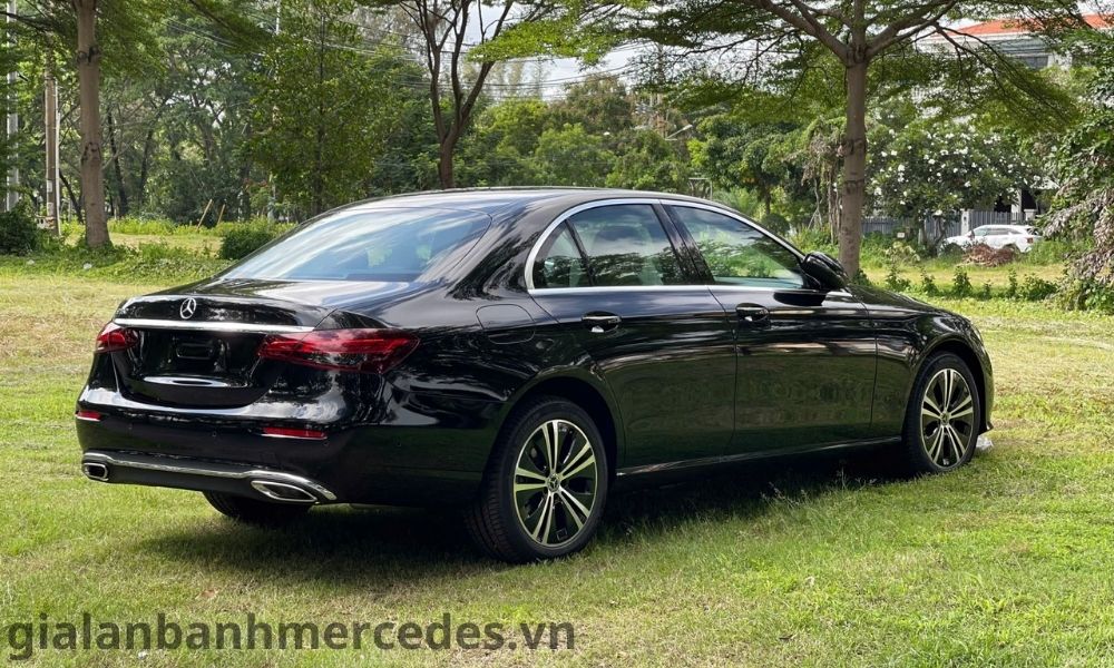 gia-lan-banh-e180-tien-giang