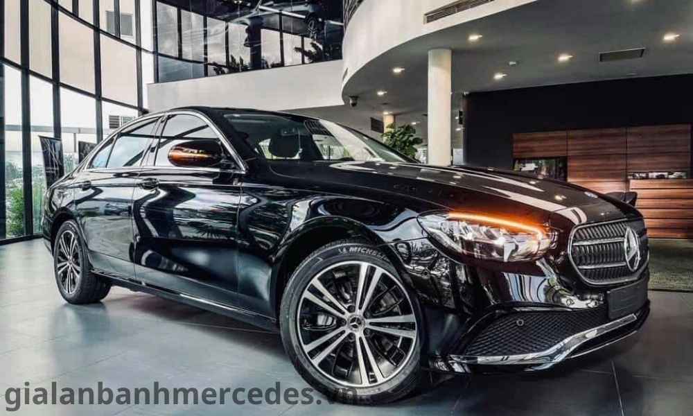 gia-lan-banh-e180-vung-tau