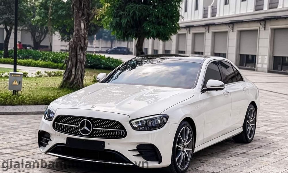 gia-lan-banh-e300-SG