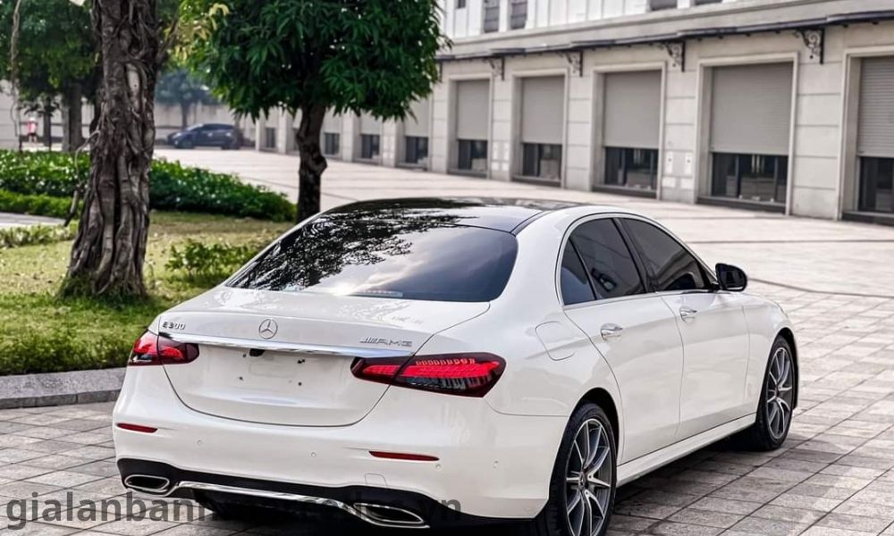 gia-lan-banh-e300-tieng-giang