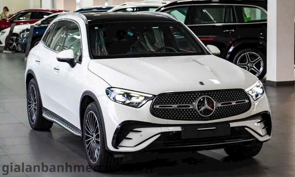 gia lan banh glc300 ho chi minh