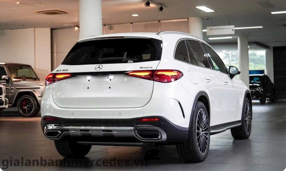 gia lan banh glc300 long an