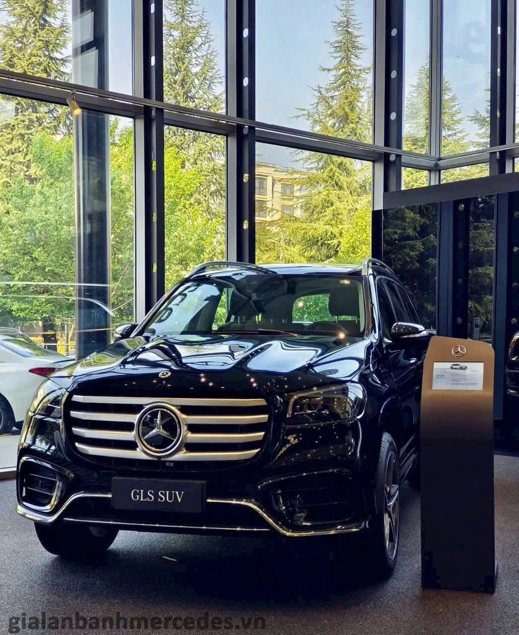 gia lan banh gls 450 Ho Chi Minh