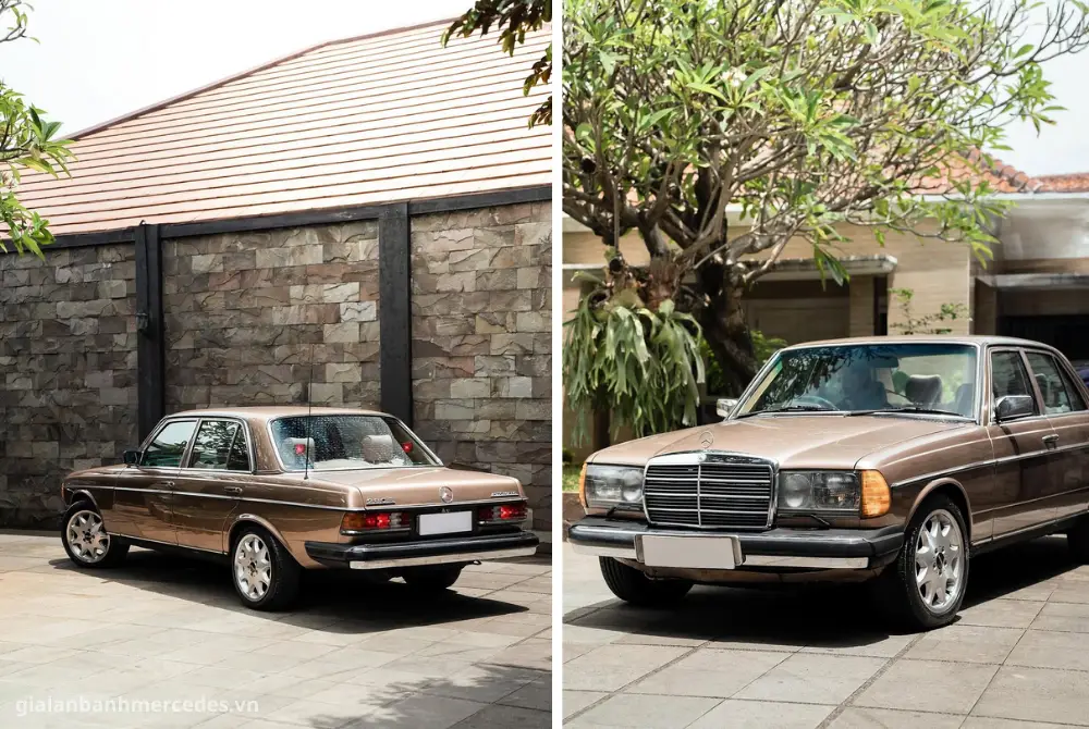 Mercedes W123 đậu cạnh những mẫu xe hiện đại